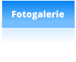 Fotogalerie