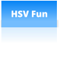 HSV Fun
