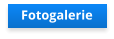 Fotogalerie