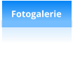 Fotogalerie