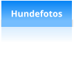 Hundefotos